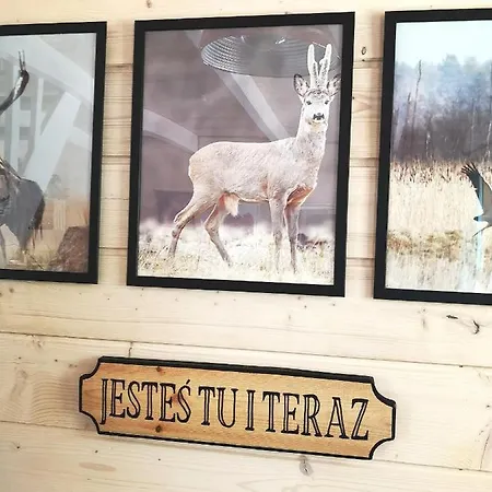 Domki Między Drzewami Bartoszylas Zewnętrze zdjęcie
