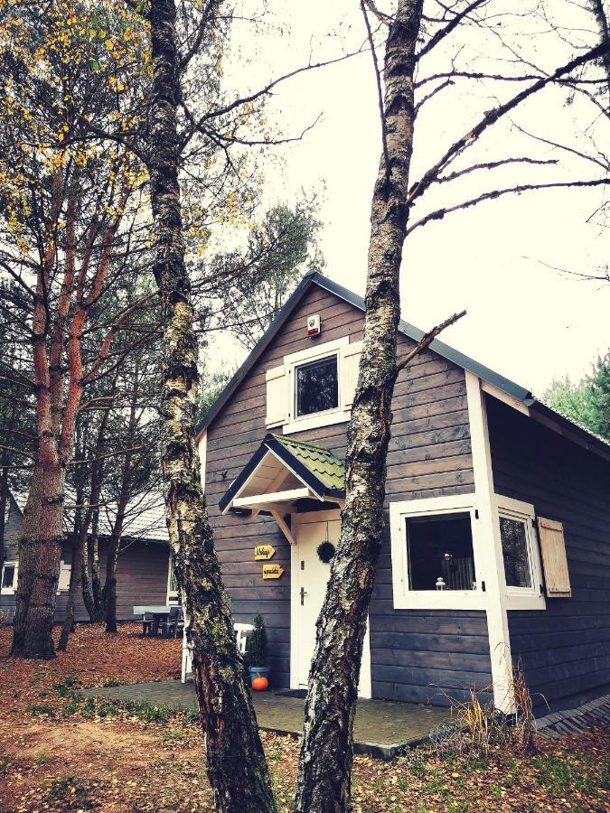 Miedzy Drzewami Lodge Bartoszylas