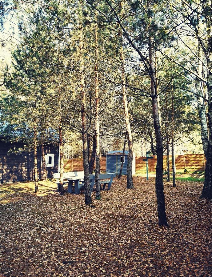 Lodge Miedzy Drzewami Bartoszylas