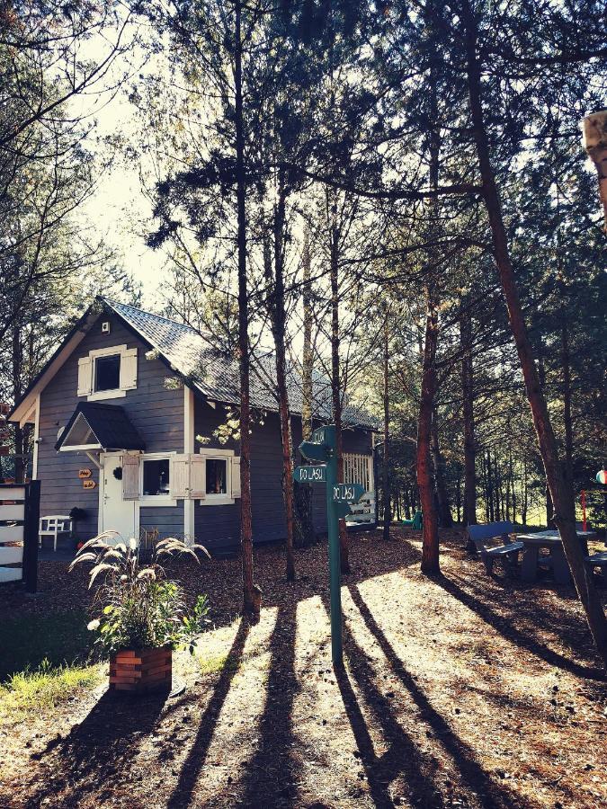 Miedzy Drzewami Lodge *