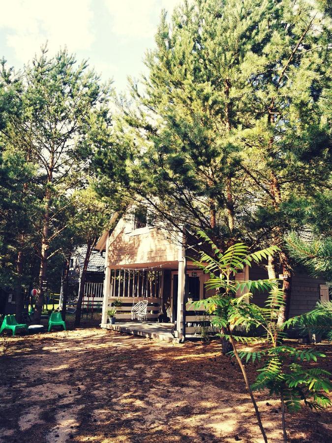 Lodge Miedzy Drzewami