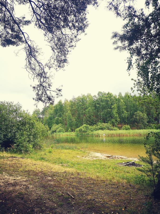 Lodge Miedzy Drzewami