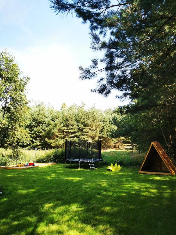 Lodge Miedzy Drzewami